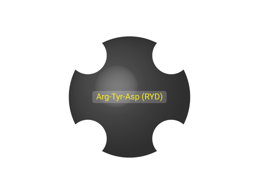 The RYD segment generate non specific binding.